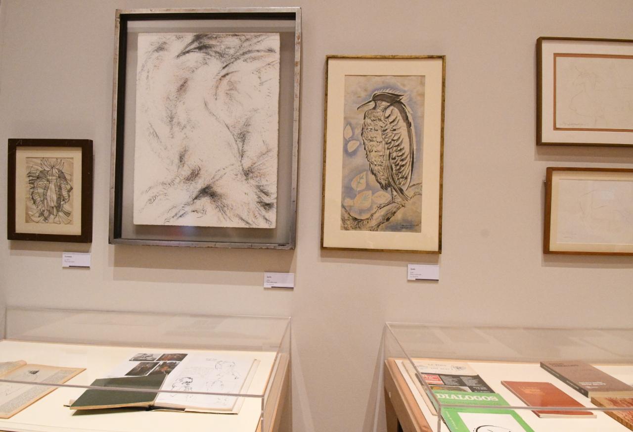 La exposición Héctor Xavier. Señales de vida