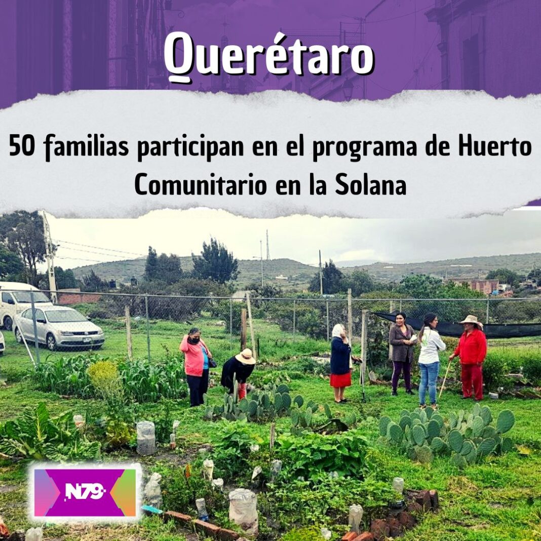 50 familias participan en el programa de Huerto Comunitario en la Solana