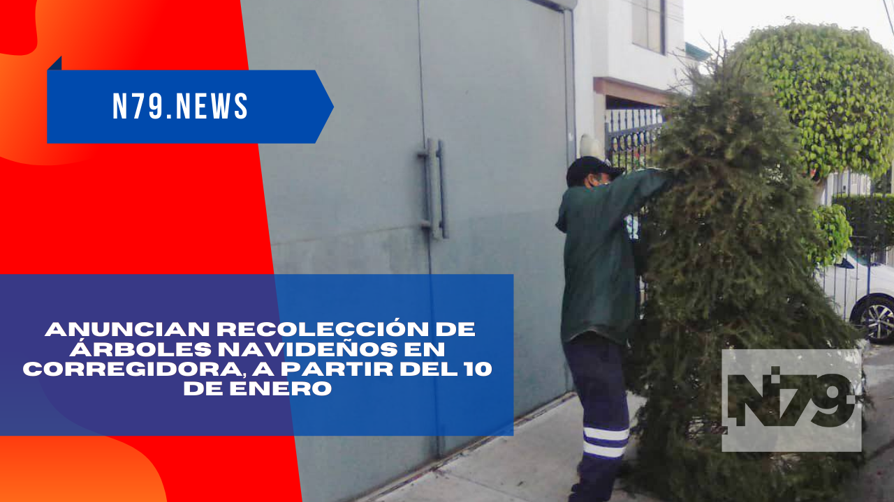 Anuncian recolección de árboles navideños en Corregidora, a partir del 10 de enero