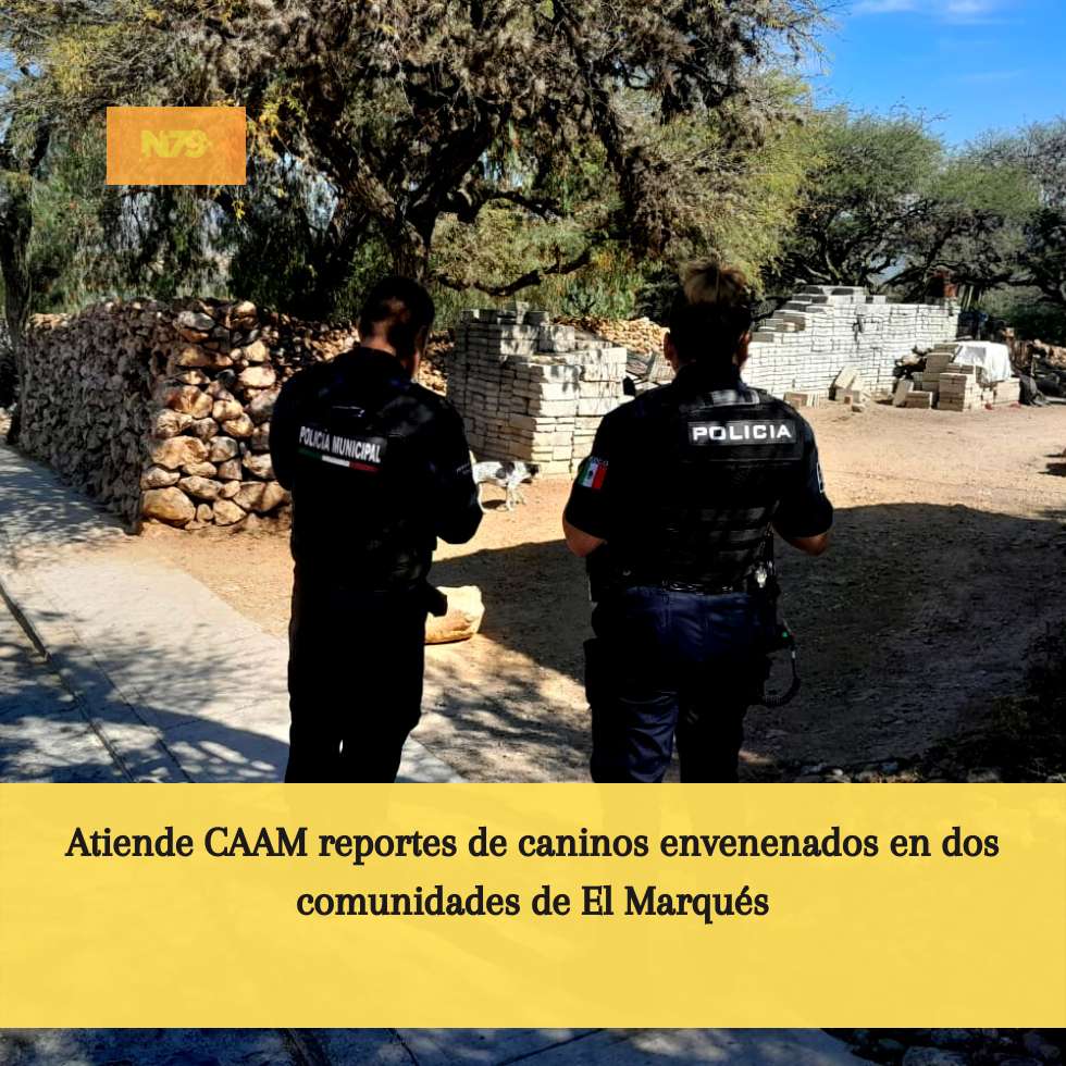 Atiende CAAM reportes de caninos envenenados en dos comunidades