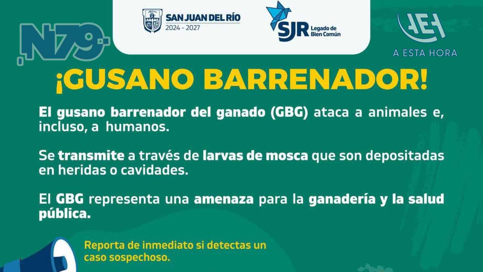 Autoridades piden extremar precauciones ante el Gusano Barrenador de Ganado
