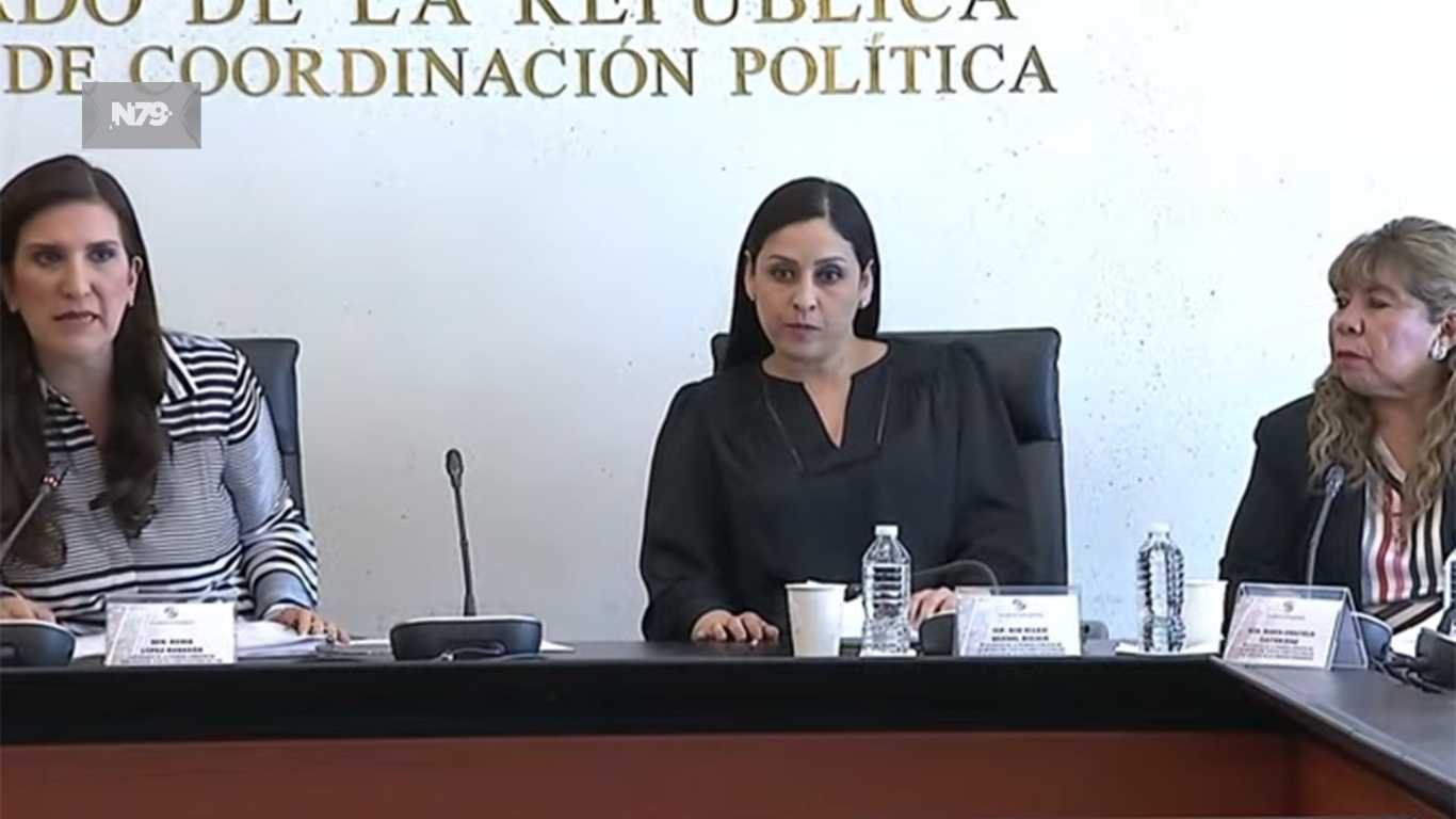 Avala Primera Comisión exhortos en materia de violencia de género y maltrato animal
