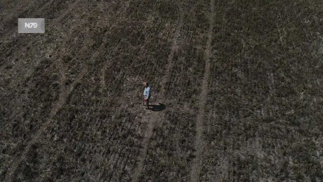 Avidez de dólares en Argentina por sequía y ruido político