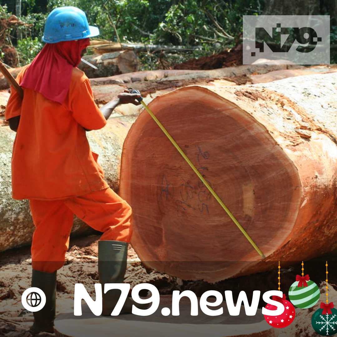 Baja el comercio de madera y papel por auge de medios digitales