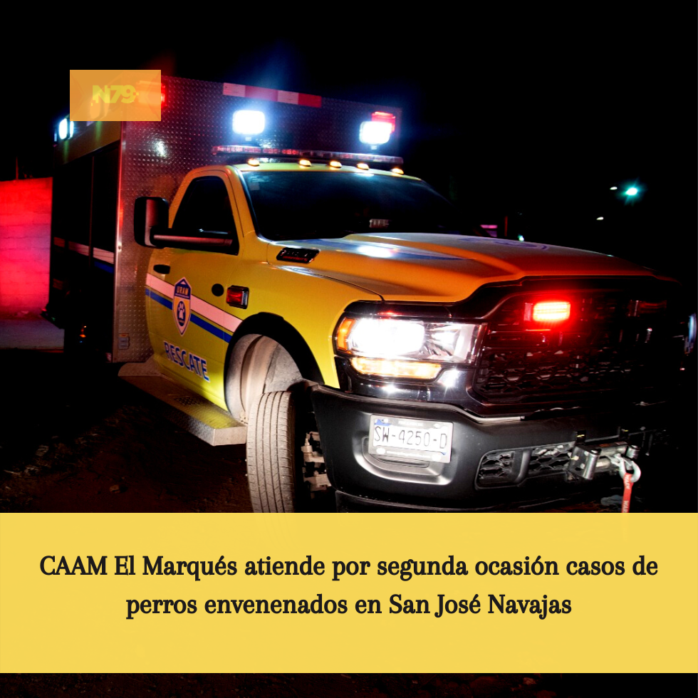 CAAM El Marqués atiende por segunda ocasión casos de perros envenenados en San José Navajas