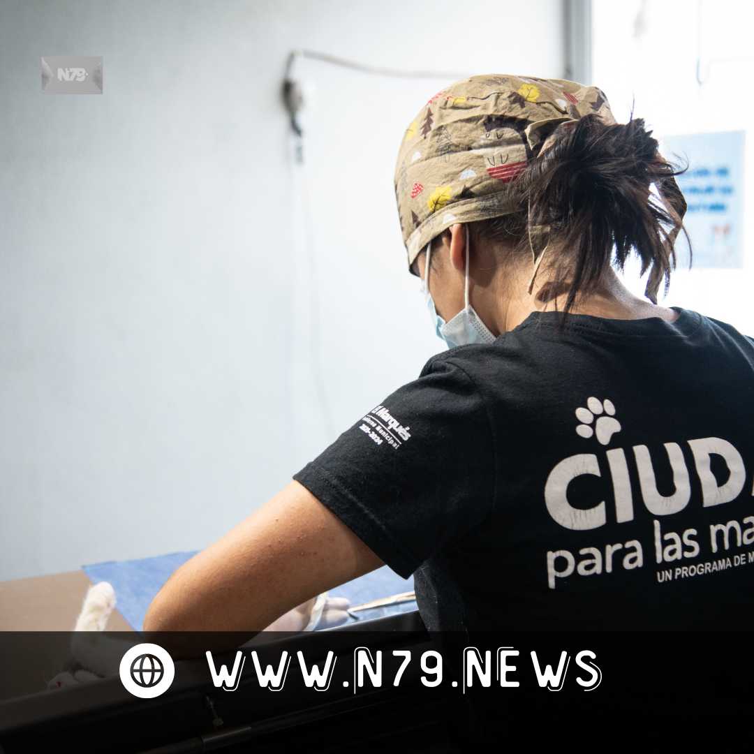 CAAM El Marqués incrementa los servicios otorgados a la ciudadanía