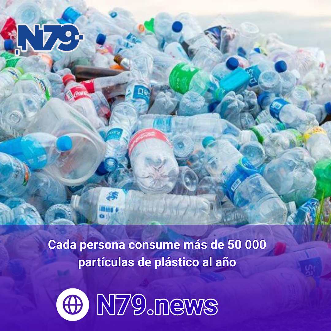 Cada persona consume más de 50 000 partículas de plástico al año