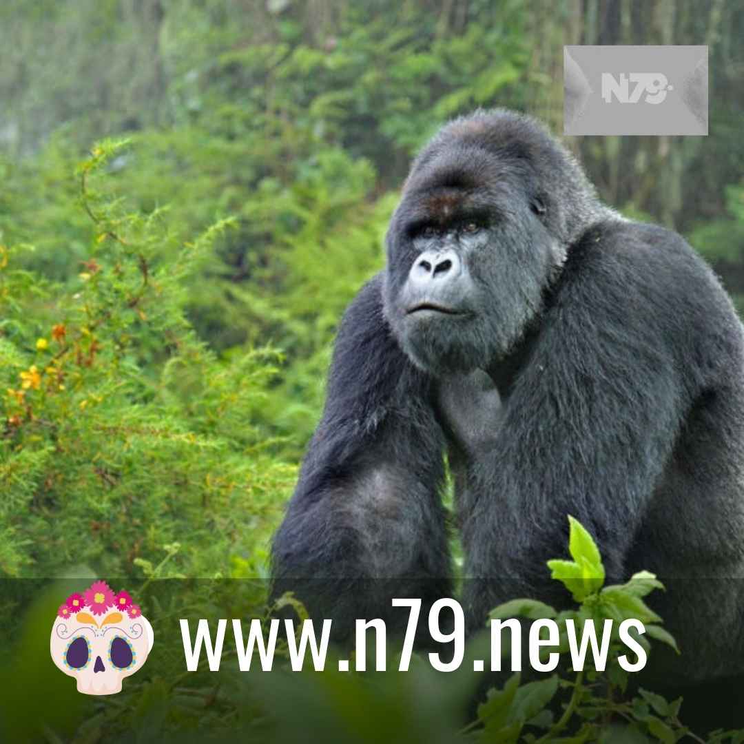 Catastrófica disminución en especies de vida silvestre