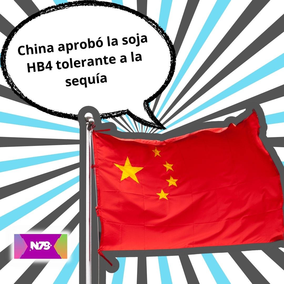 China aprobó la soja HB4 tolerante a la sequía