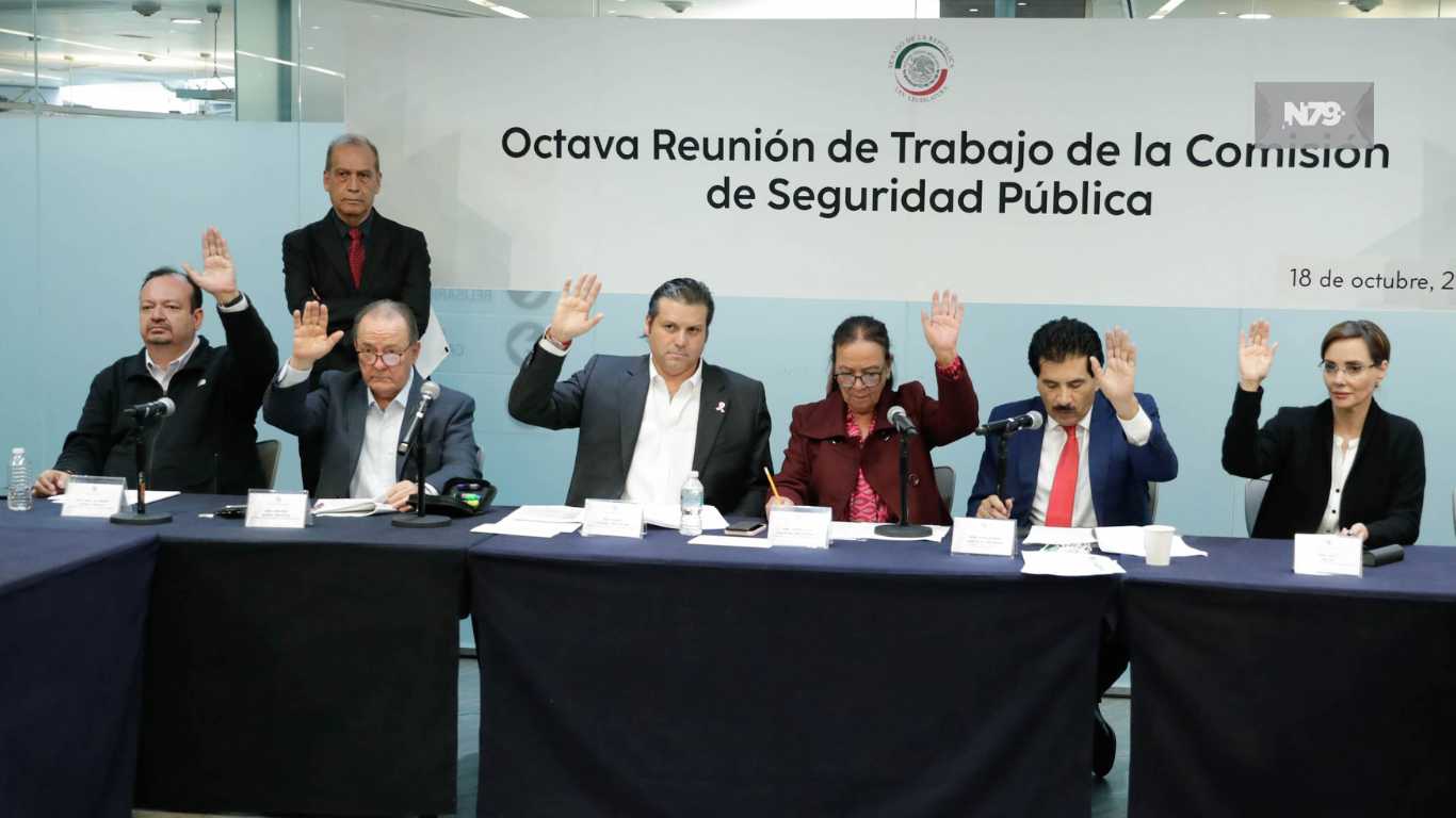 Comisión del Senado aprueba reforma para garantizar seguridad en procesos electorales