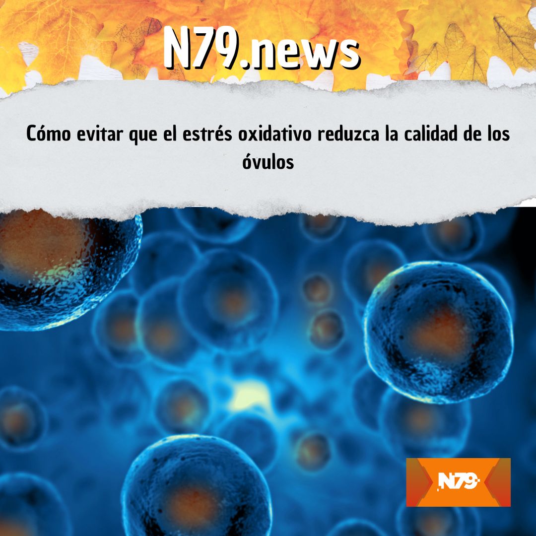 Cómo evitar que el estrés oxidativo reduzca la calidad de los óvulos