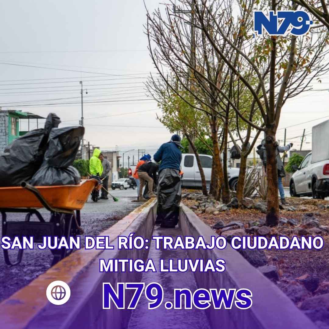 trabajo ciudadano