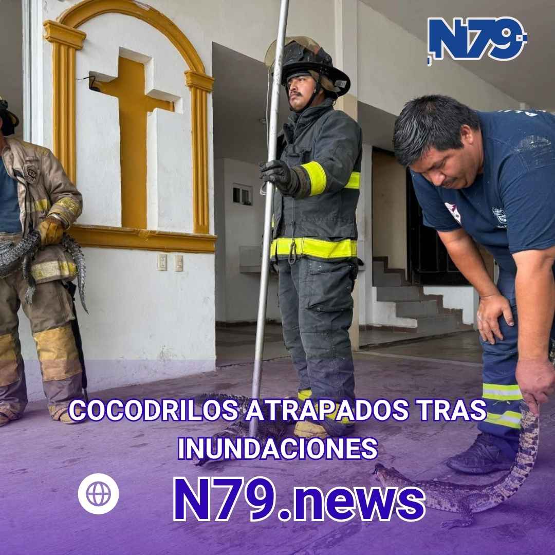 Cocodrilos atrapados