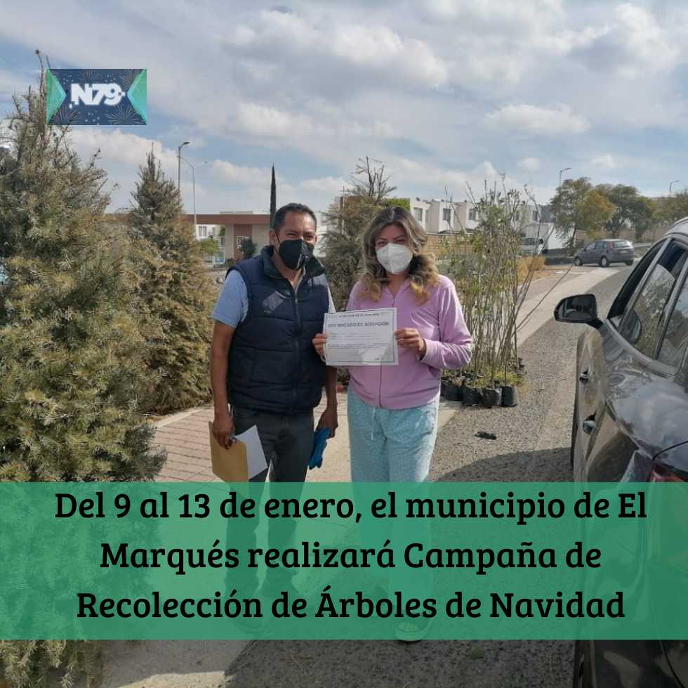 Del 9 al 13 de enero, el municipio de El Marqués realizará Campaña de Recolección de Árboles de Navidad