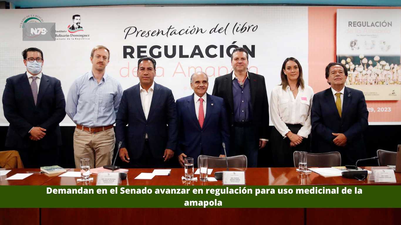 Demandan en el Senado avanzar en regulación para uso medicinal de la amapola