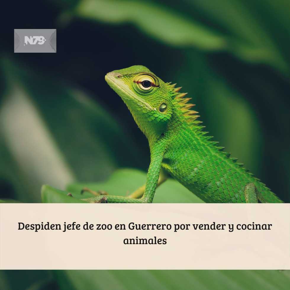 Despiden jefe de zoo en Guerrero por vender y cocinar animales