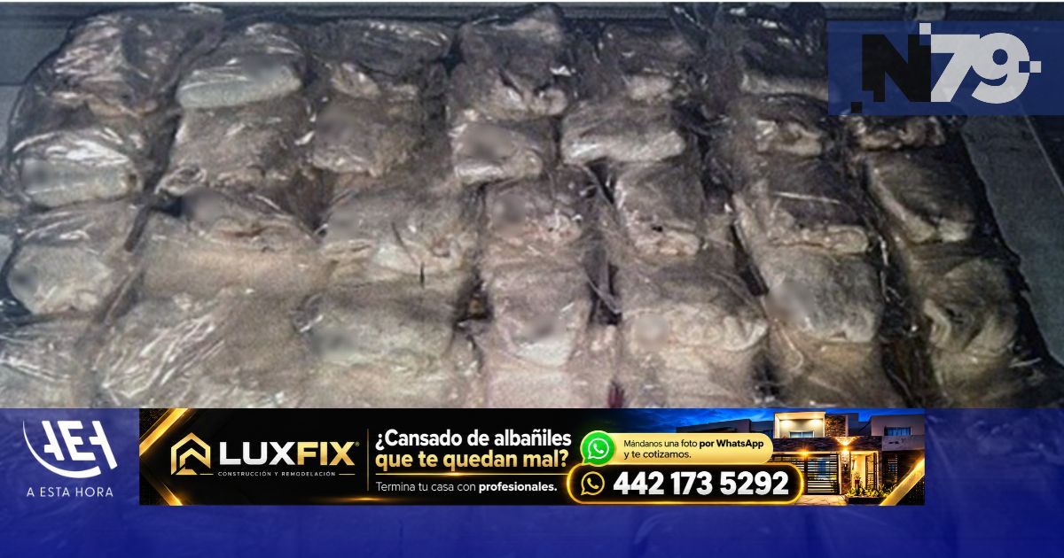 Dictan prisión y reparación por tráfico de totoaba