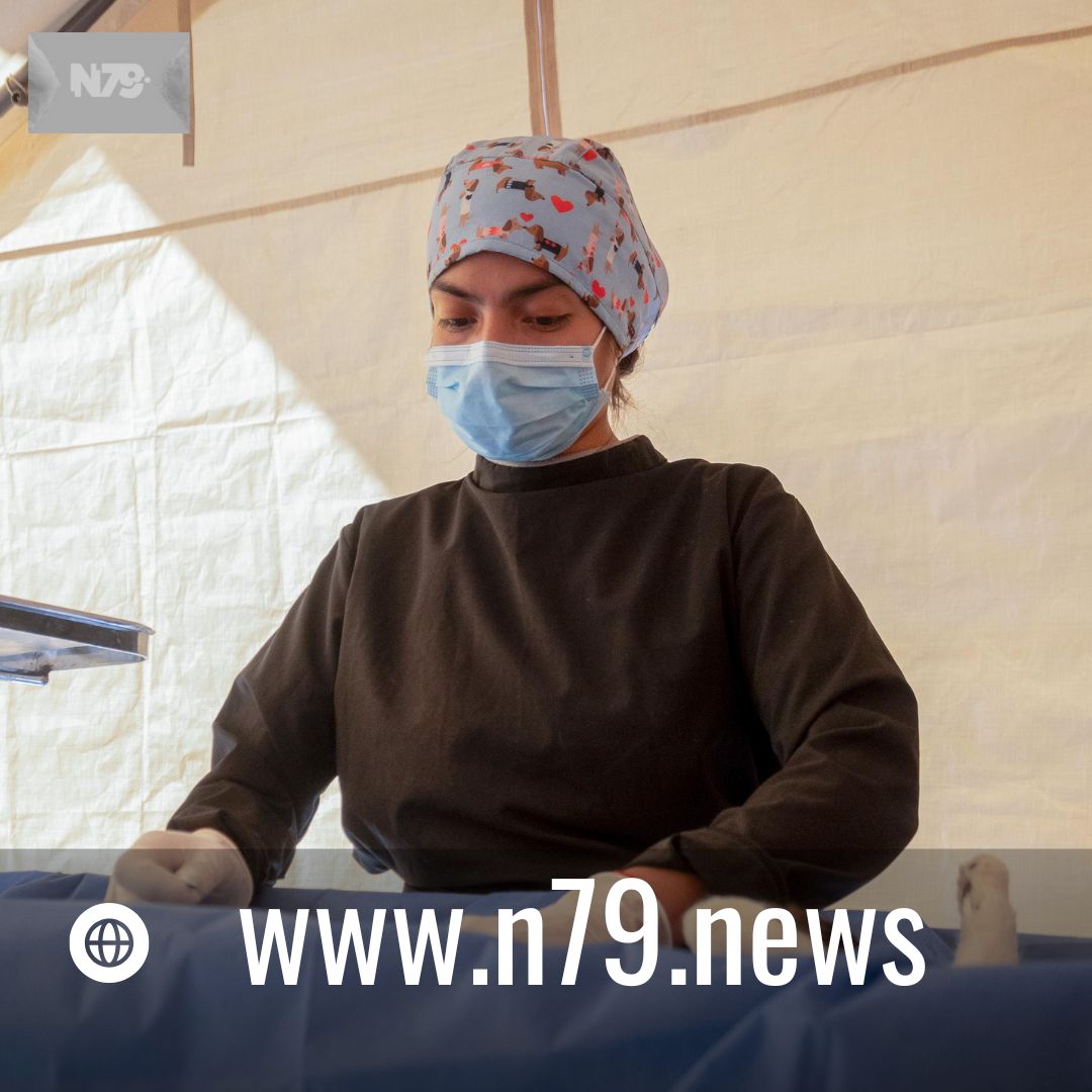 El Marqués reduce los índices de abandono y maltrato animal