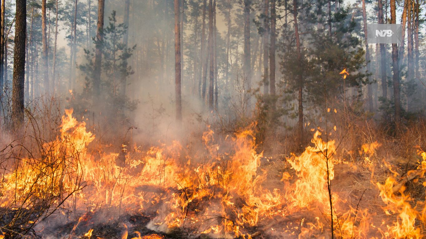 El aumento del calor extremo y el humo de los incendios forestales representan riesgos para la salud humana