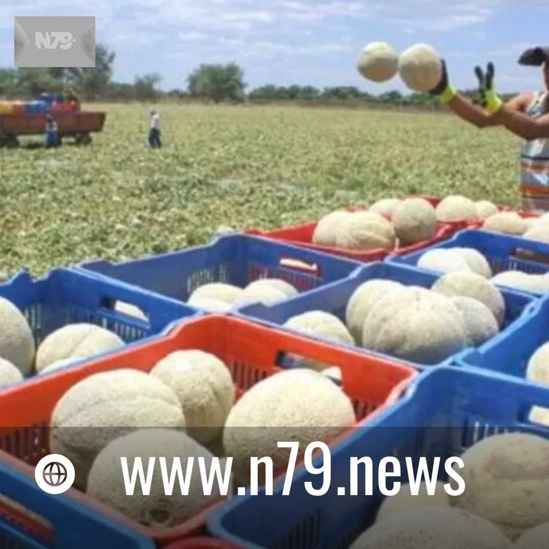 El pago de deuda externa llega a récords en países del Sur en desarrollo