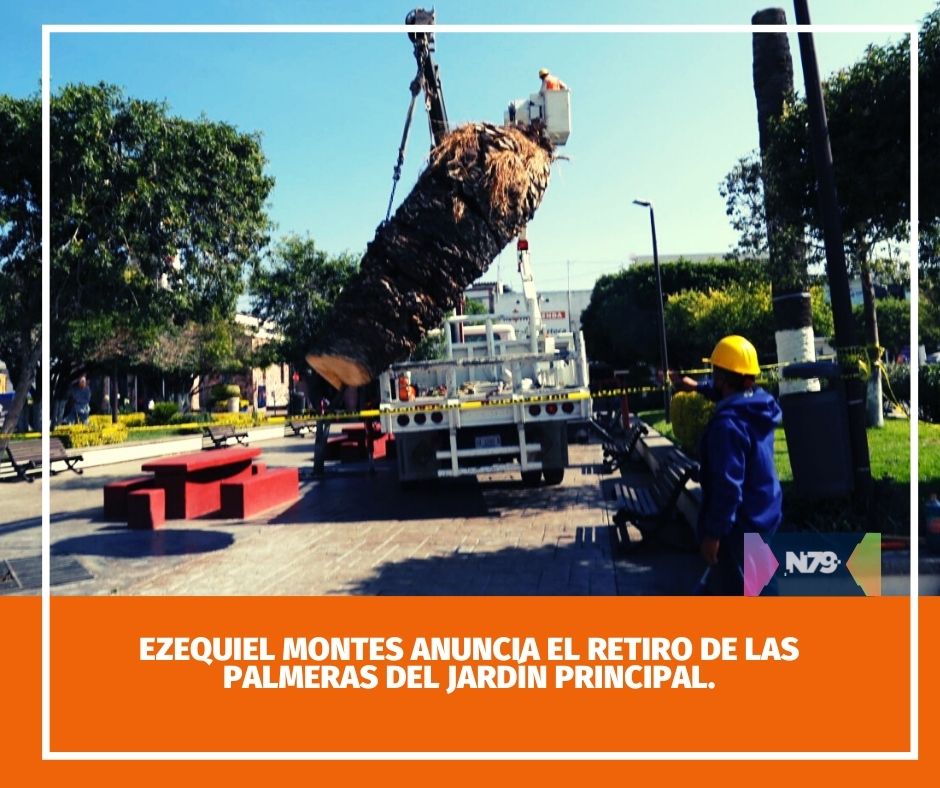 Ezequiel Montes anuncia el retiro de las palmeras del Jardín Principal.