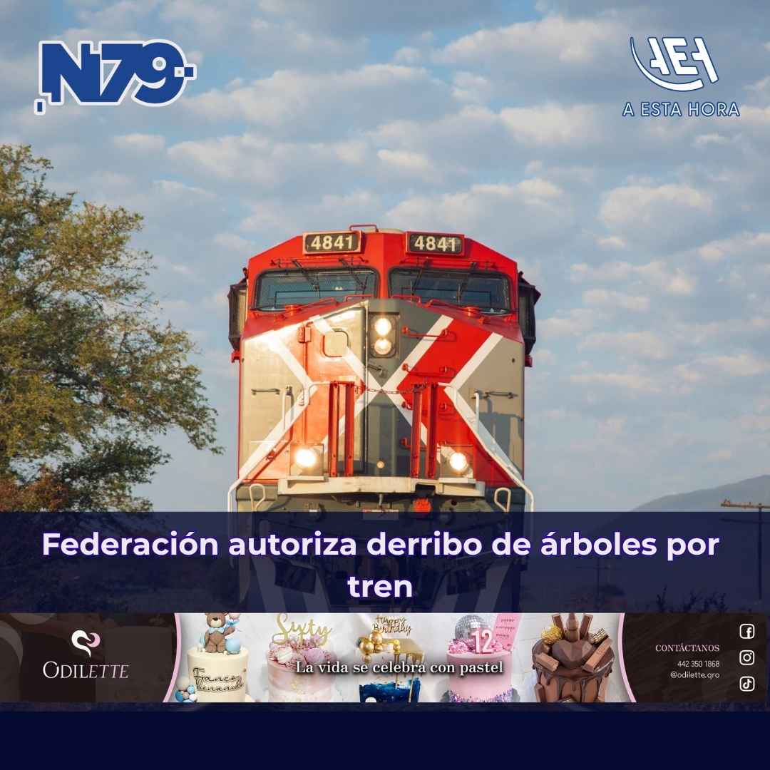 Federación autoriza derribo de árboles por tren