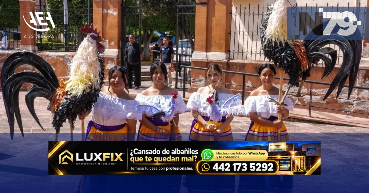 Gallo Monumental recorrerá 12 kilómetros hasta Catedral