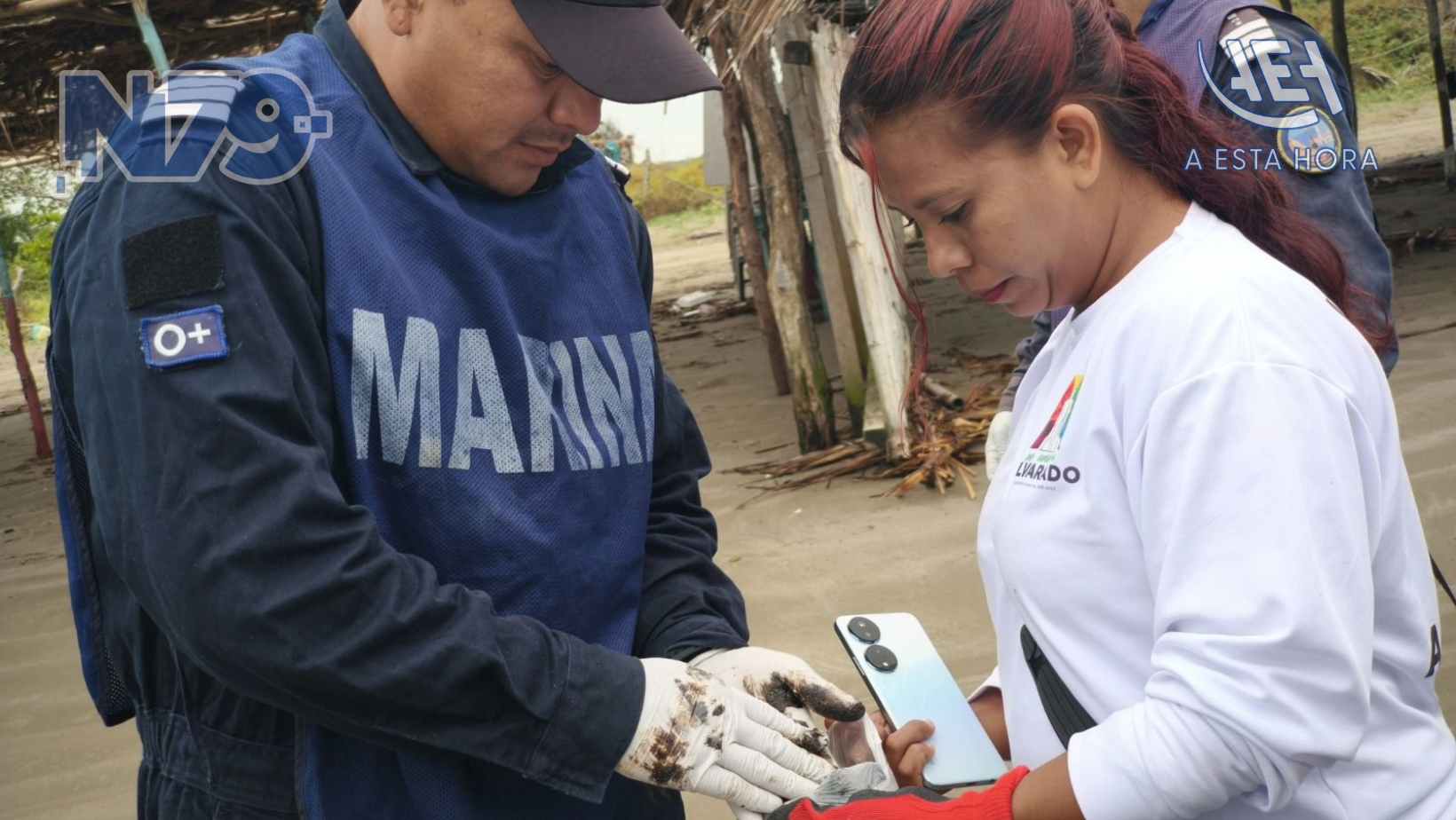 Gobierno de México avanza en limpieza de playas del Golfo de México con 88% de progreso