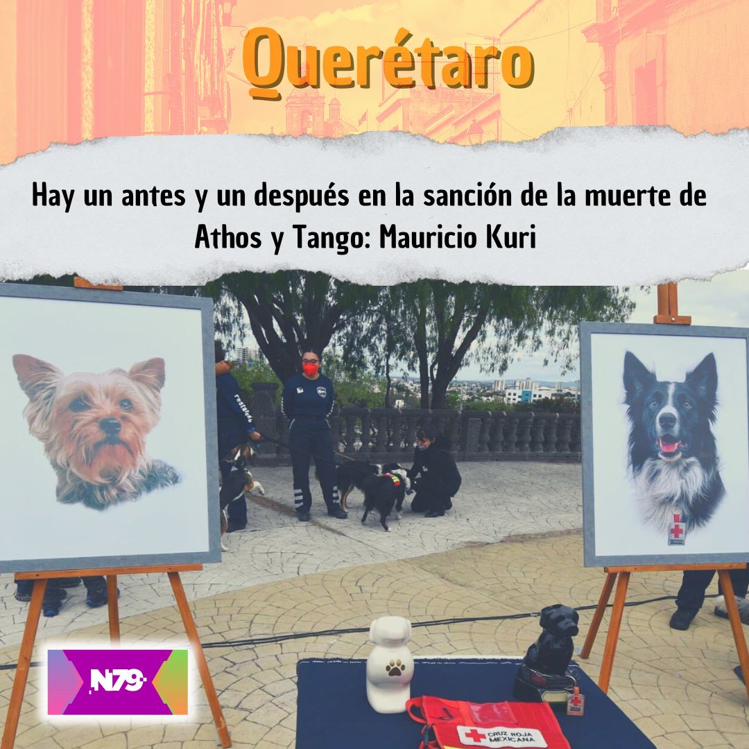 Hay un antes y un después en la sanción de la muerte de Athos y Tango Mauricio Kuri
