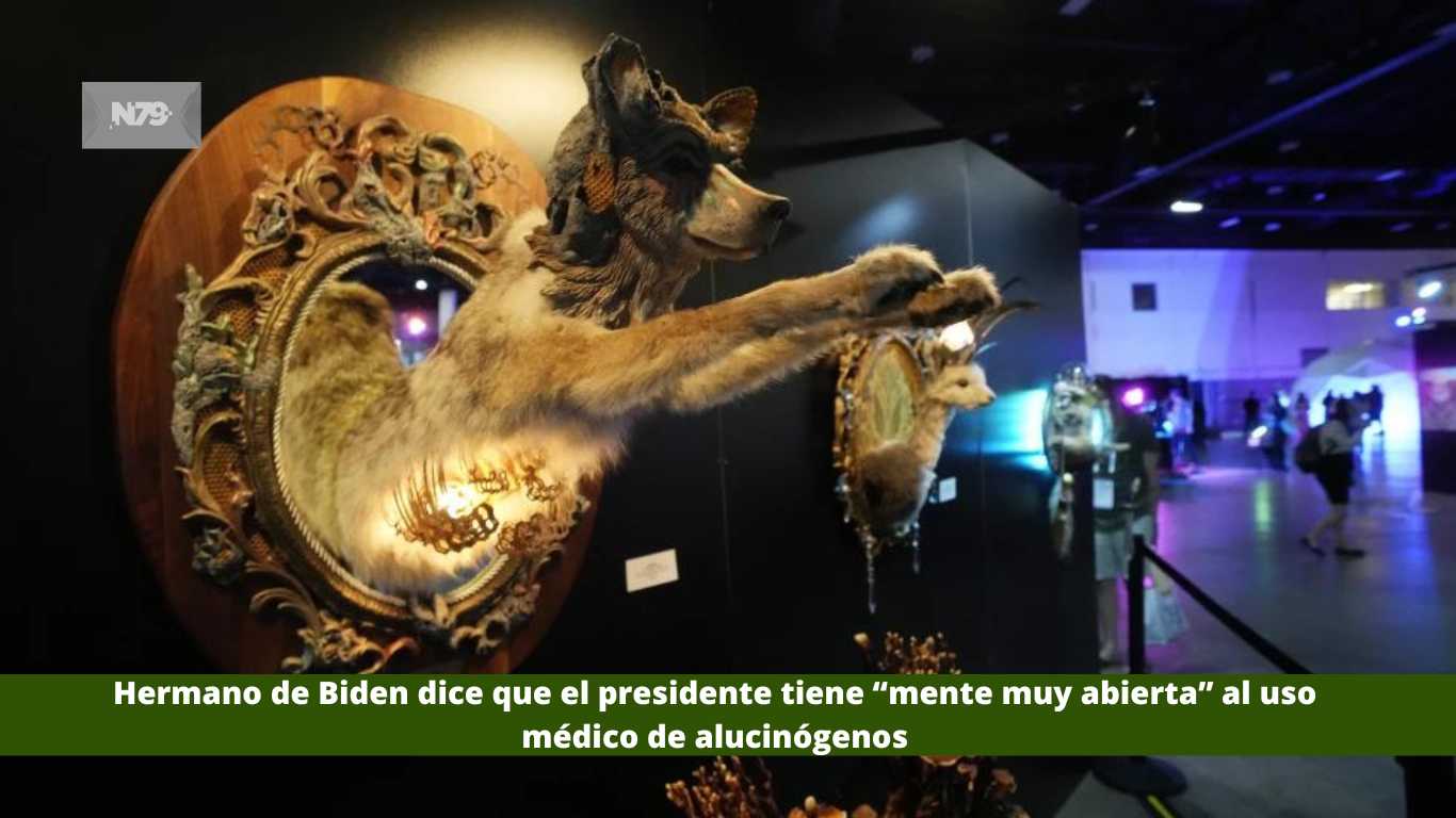 Hermano de Biden dice que el presidente tiene “mente muy abierta” al uso médico de alucinógenos