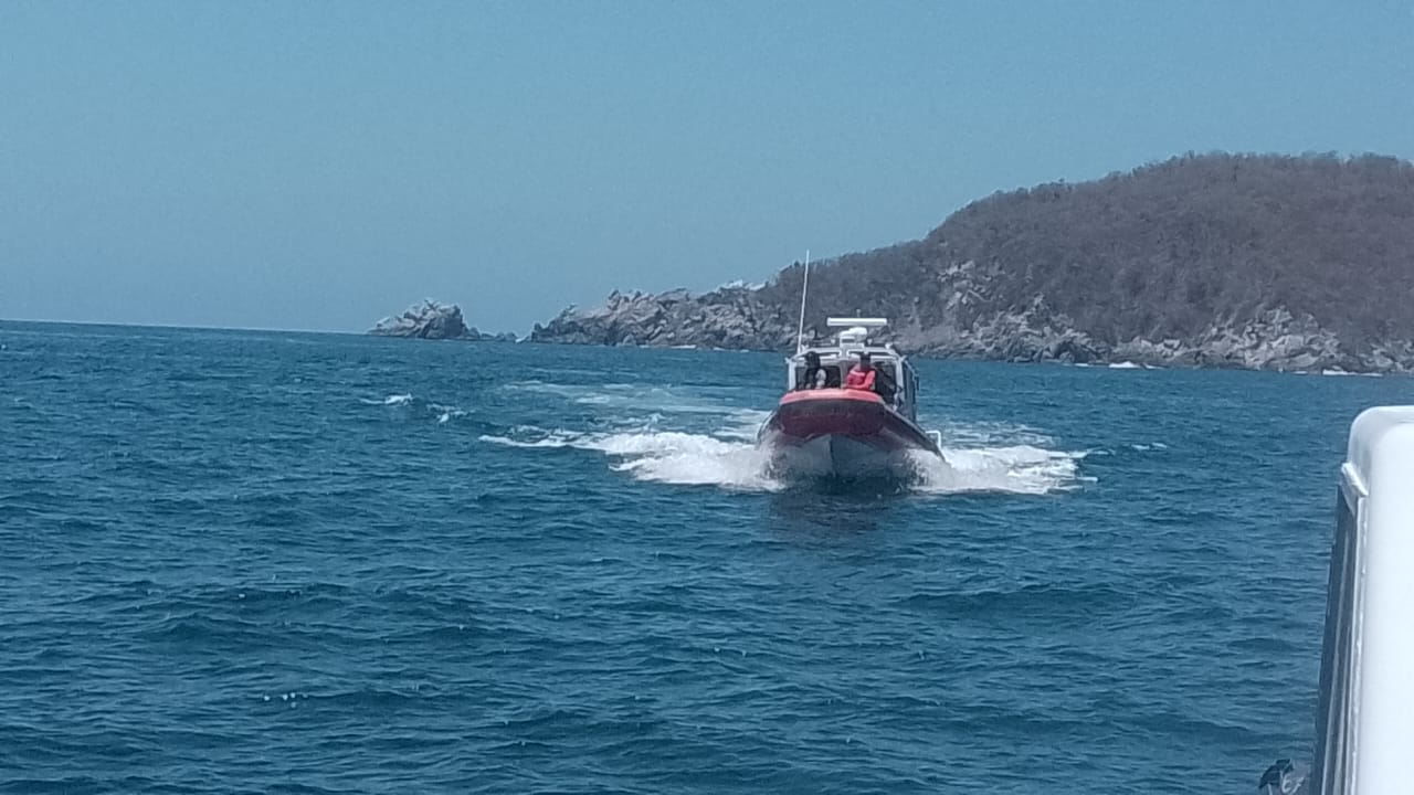 ballenas