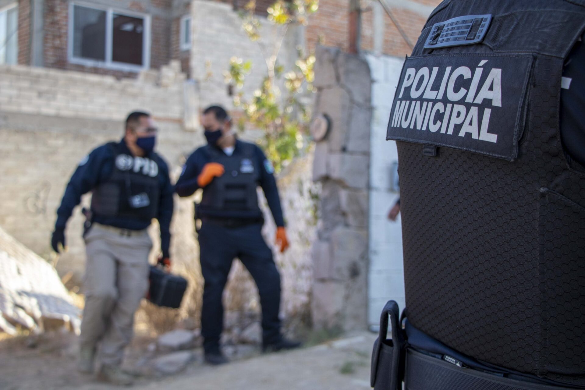 Un total de 446 vehículos recuperados y 147 órdenes de aprehensión cumplimentadas por diversos delitos