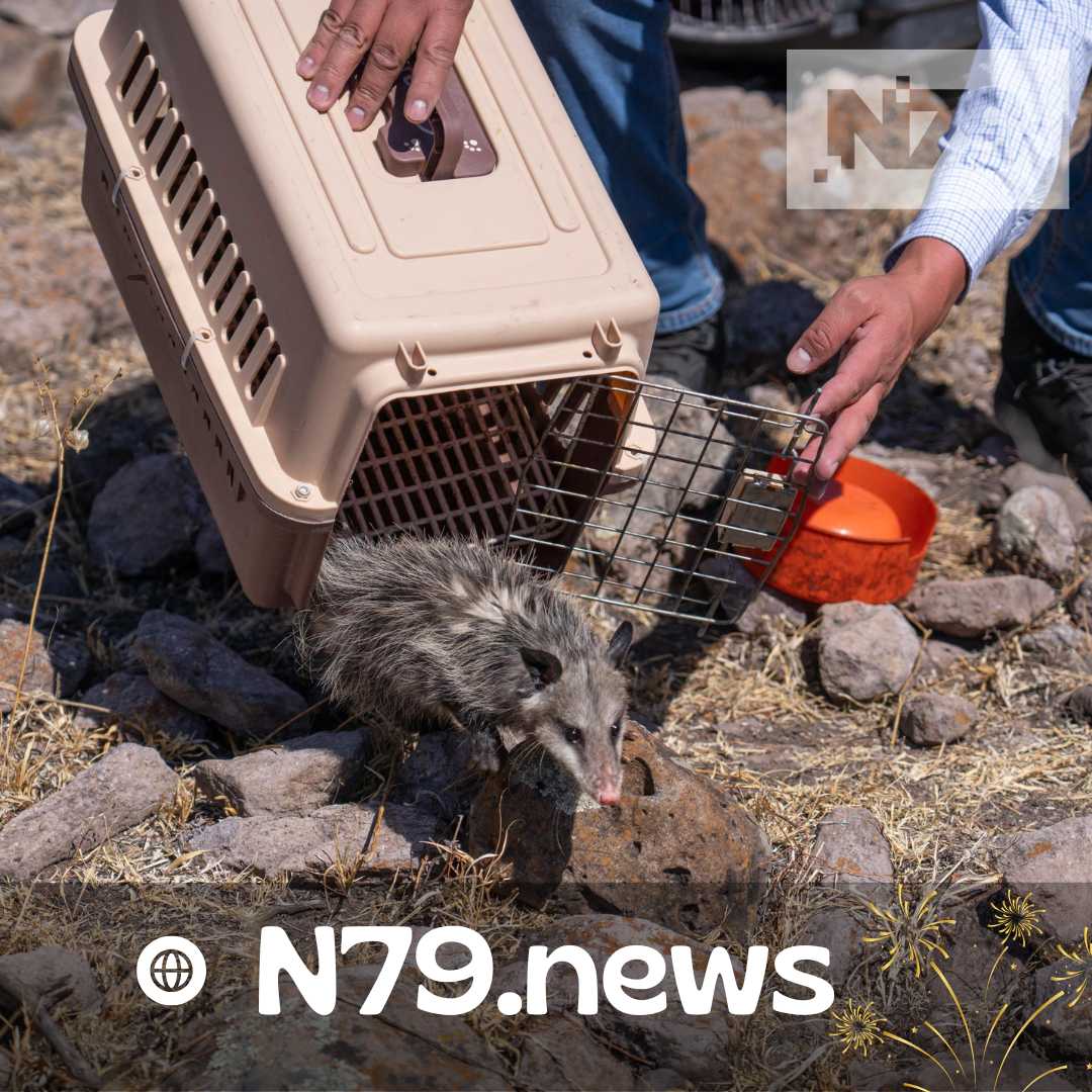 IMPA de El Marqués realiza liberación de fauna silvestre en reserva natural protegida