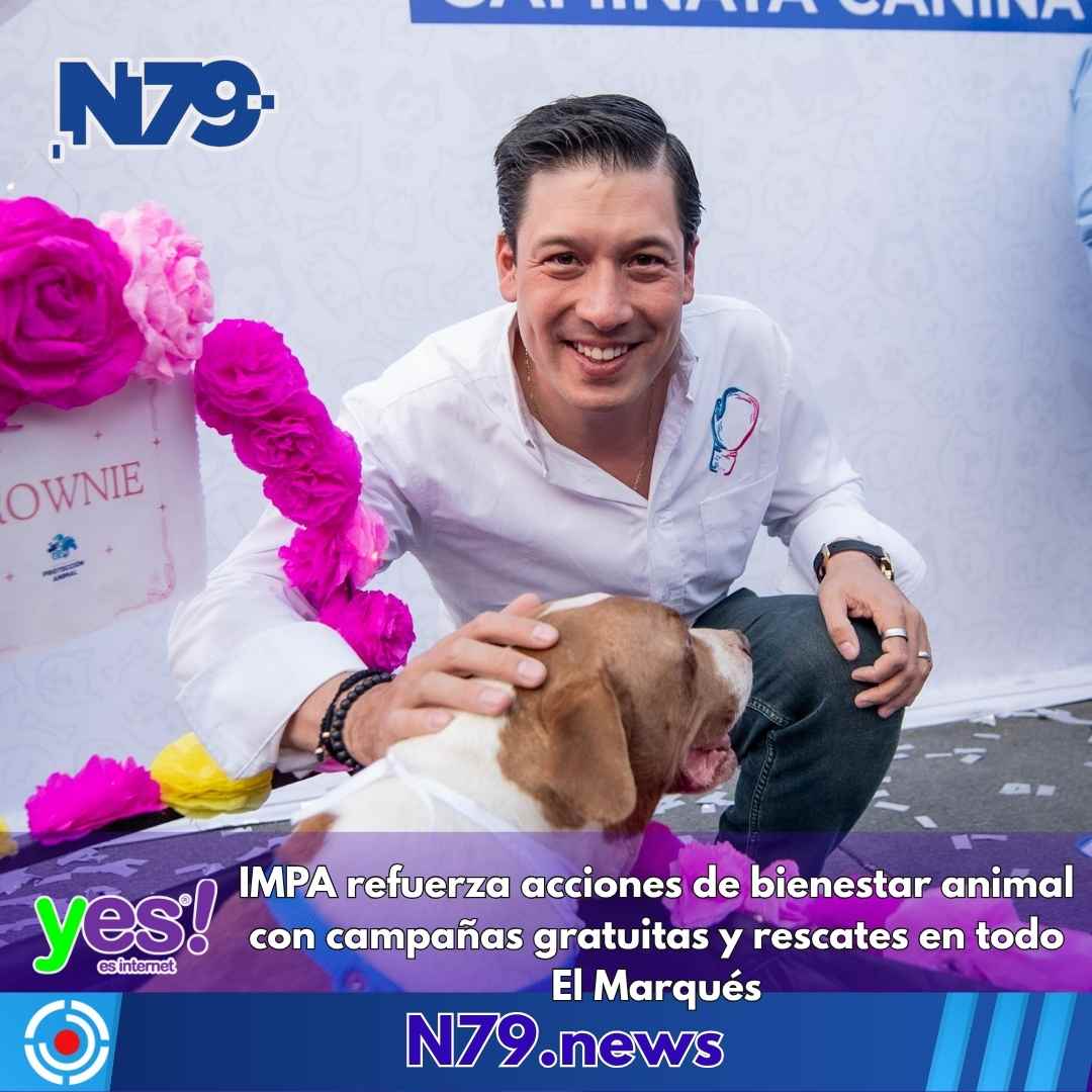 IMPA refuerza acciones de bienestar animal con campañas gratuitas y rescates en todo El Marqués