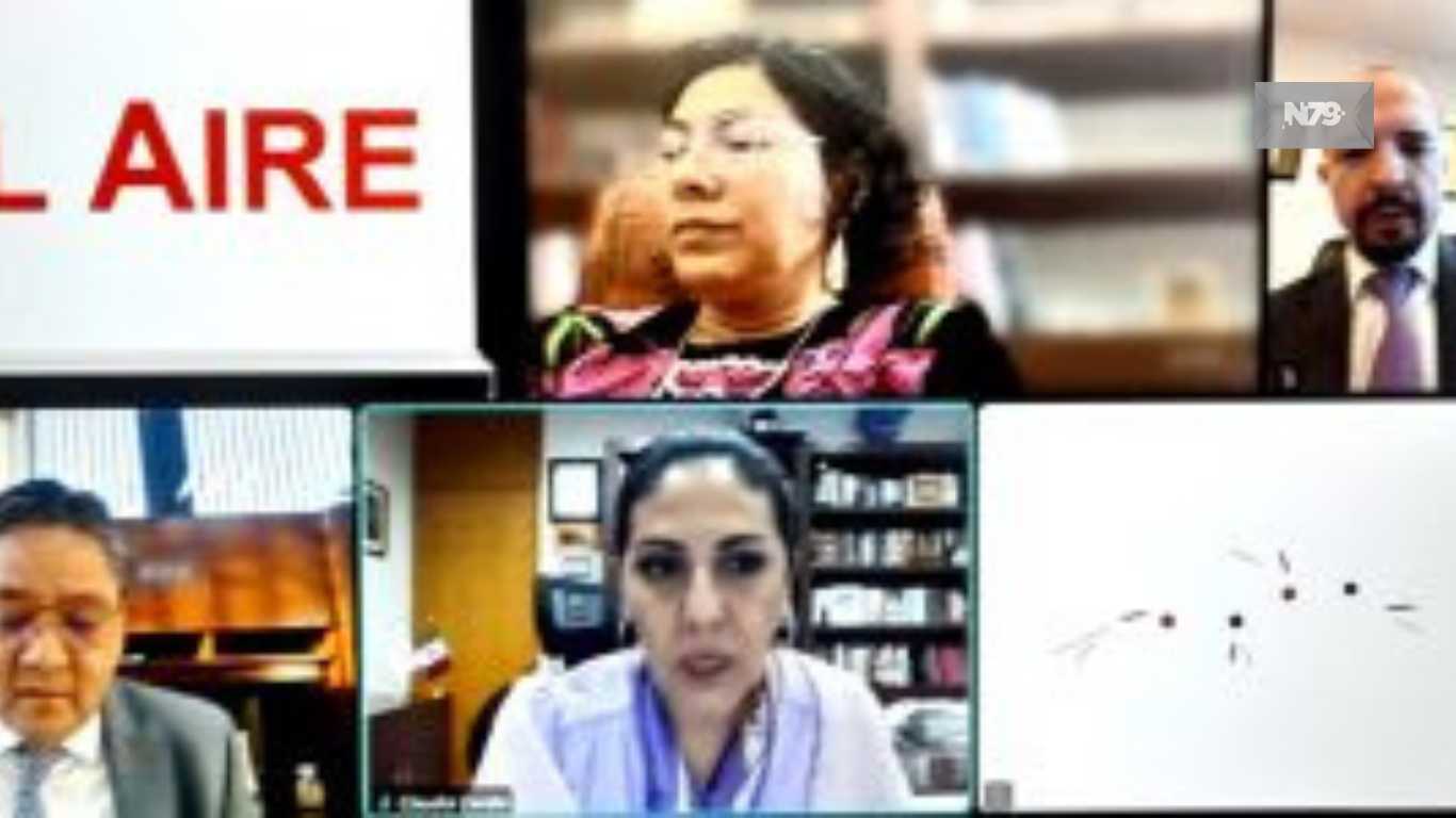 INE resuelve cuatro medidas cautelares una de ellas procedente sobre la contratación para los cargos de SE y CAE