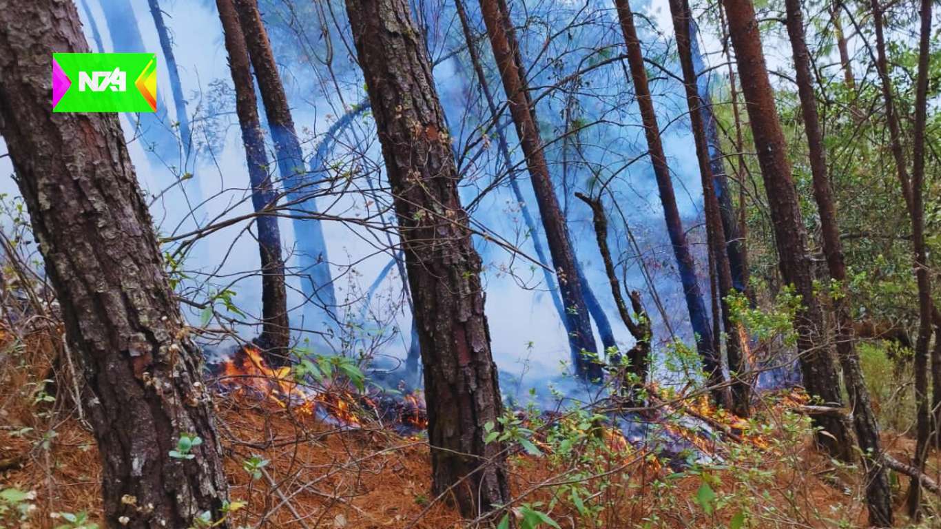 Incendio forestal en el cerro de la Mano Pintada moviliza a Protección Civil de Pinal de Amoles
