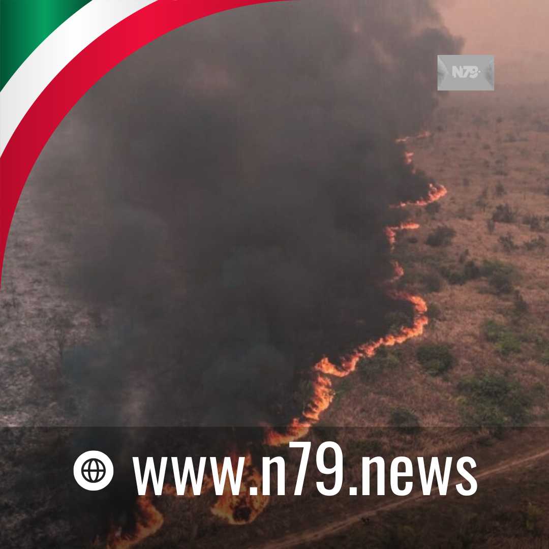 Inteligencia artificial y satélites ofrecen esperanzas para el clima