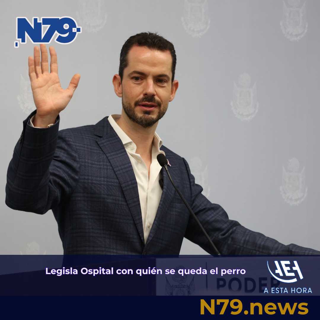 Legisla Ospital con quién se queda el perro