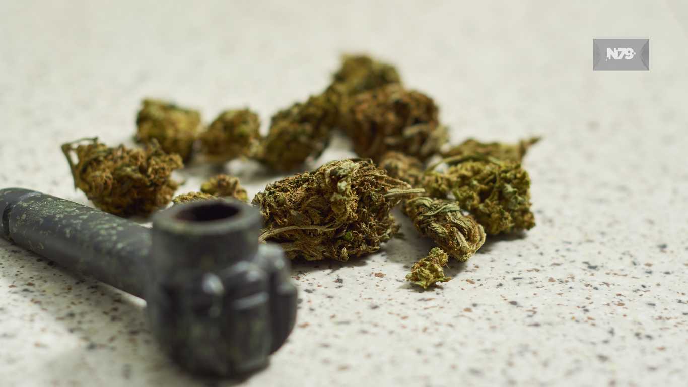 Ley sobre el uso de la marihuana en las Islas Vírgenes de Estados Unidos experimentó un significativo avance