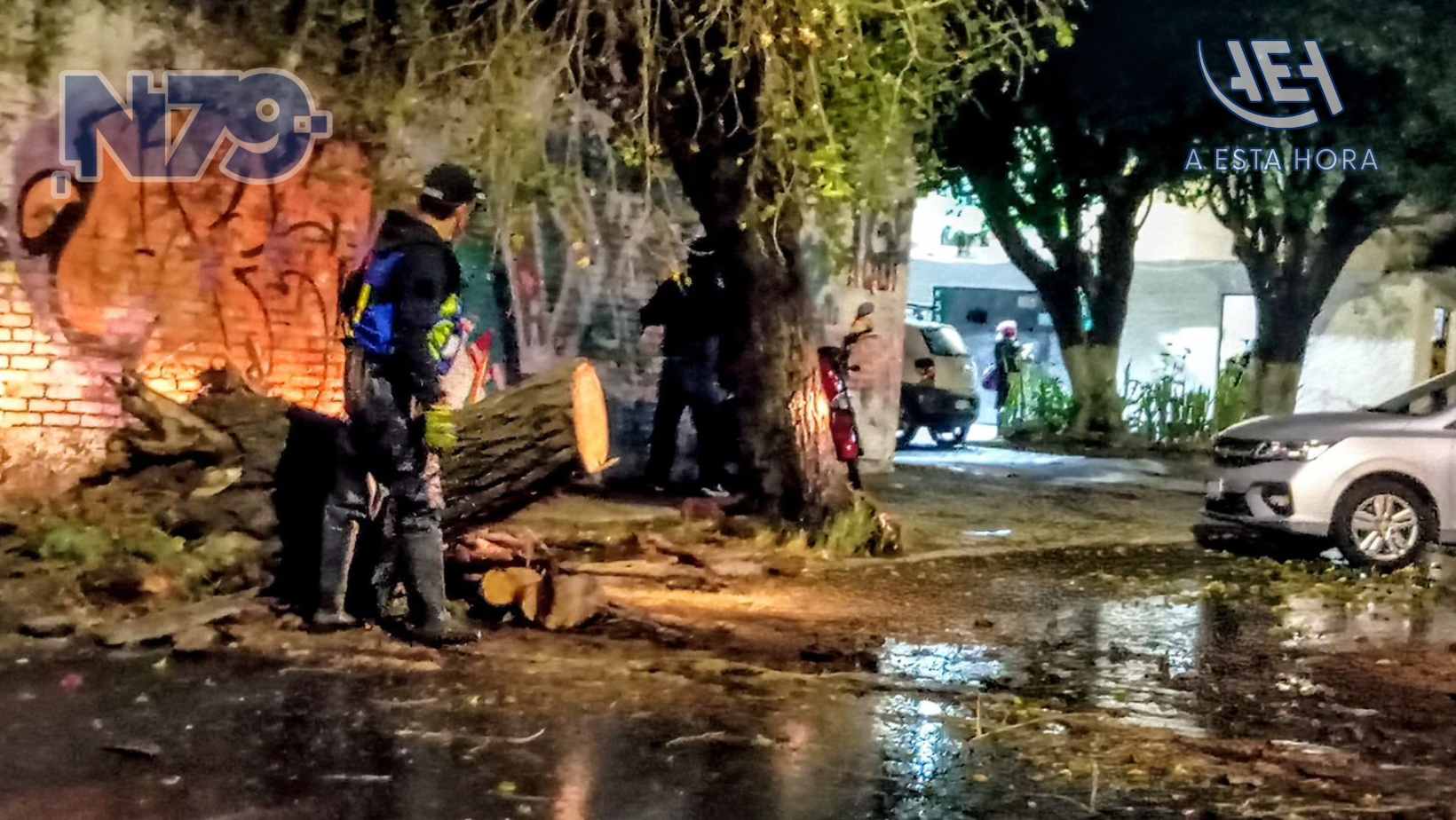 Lluvias dejan 18 árboles caídos y encharcamientos en Querétaro; sin daños a viviendas