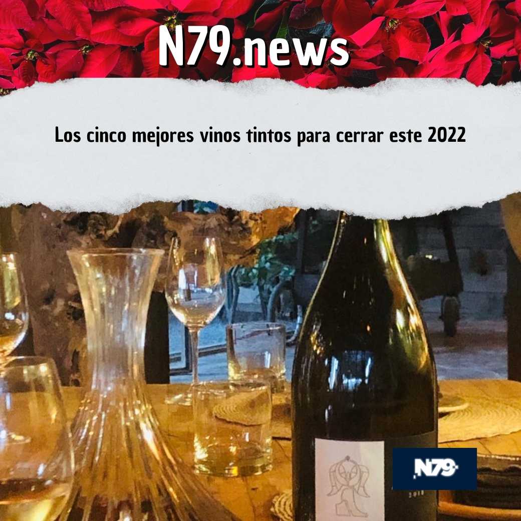 Los cinco mejores vinos tintos para cerrar este 2022