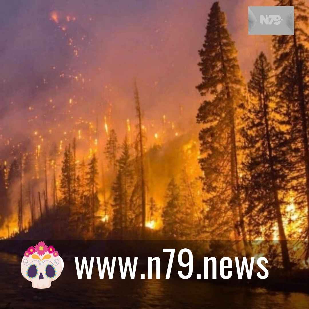 Los gases de efecto invernadero van de récord en récord