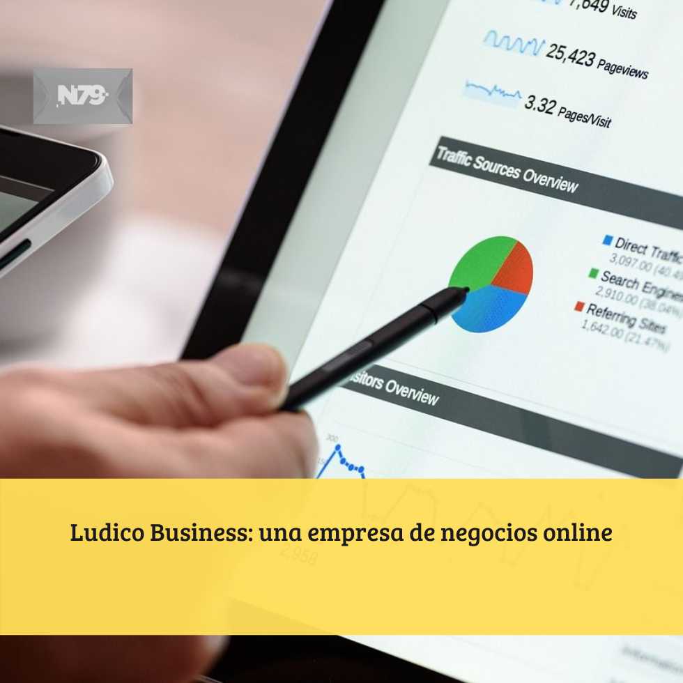 Ludico Business: una empresa de negocios online