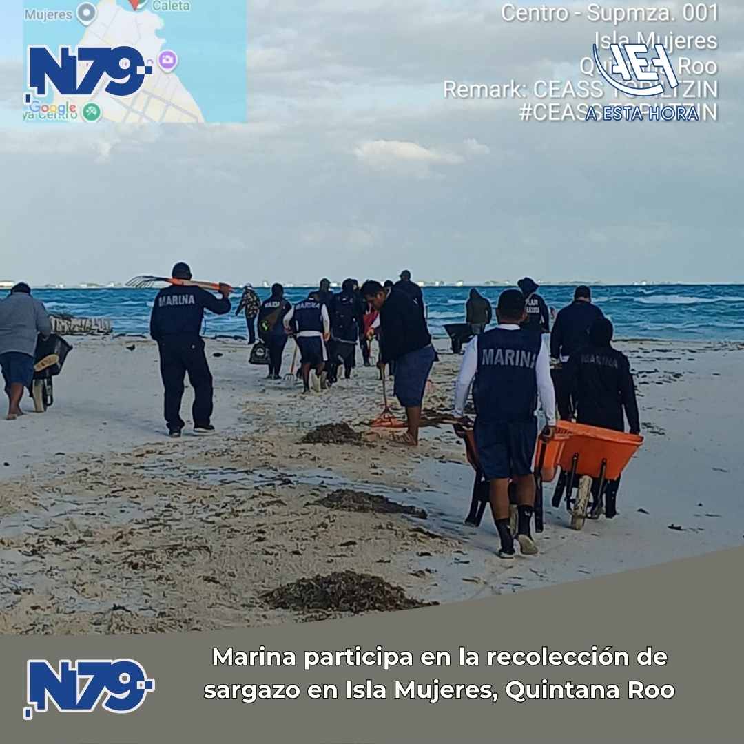 Marina participa en la recolección de sargazo en Isla Mujeres, Quintana Roo