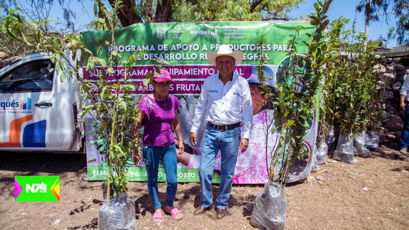 Municipio de El Marqués entrega árboles frutales a productoras agropecuarias para fomentar el autoconsumo
