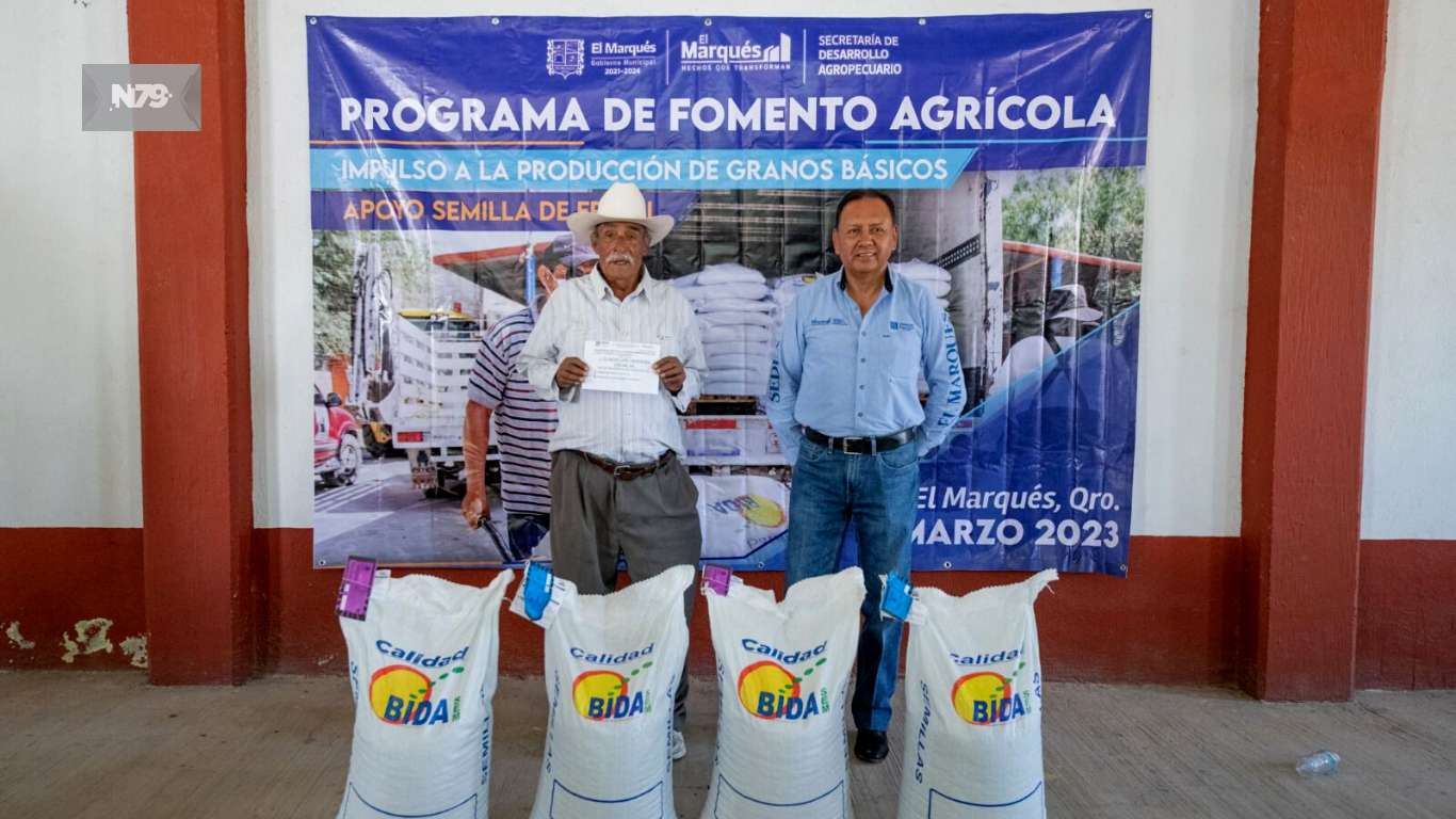Municipio de El Marqués impulsa la producción de frijol para abastecer el mercado local