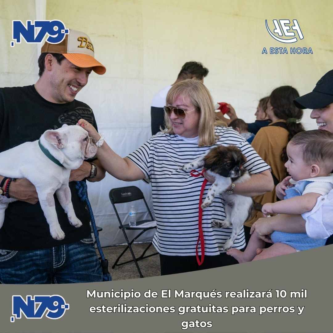 Municipio de El Marqués realizará 10 mil esterilizaciones gratuitas para perros y gatos