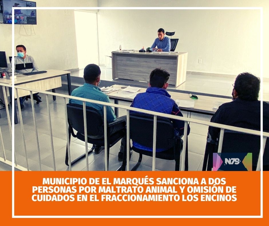 Municipio de El Marqués sanciona a dos personas por maltrato animal y omisión de cuidados en el fraccionamiento Los Encinos