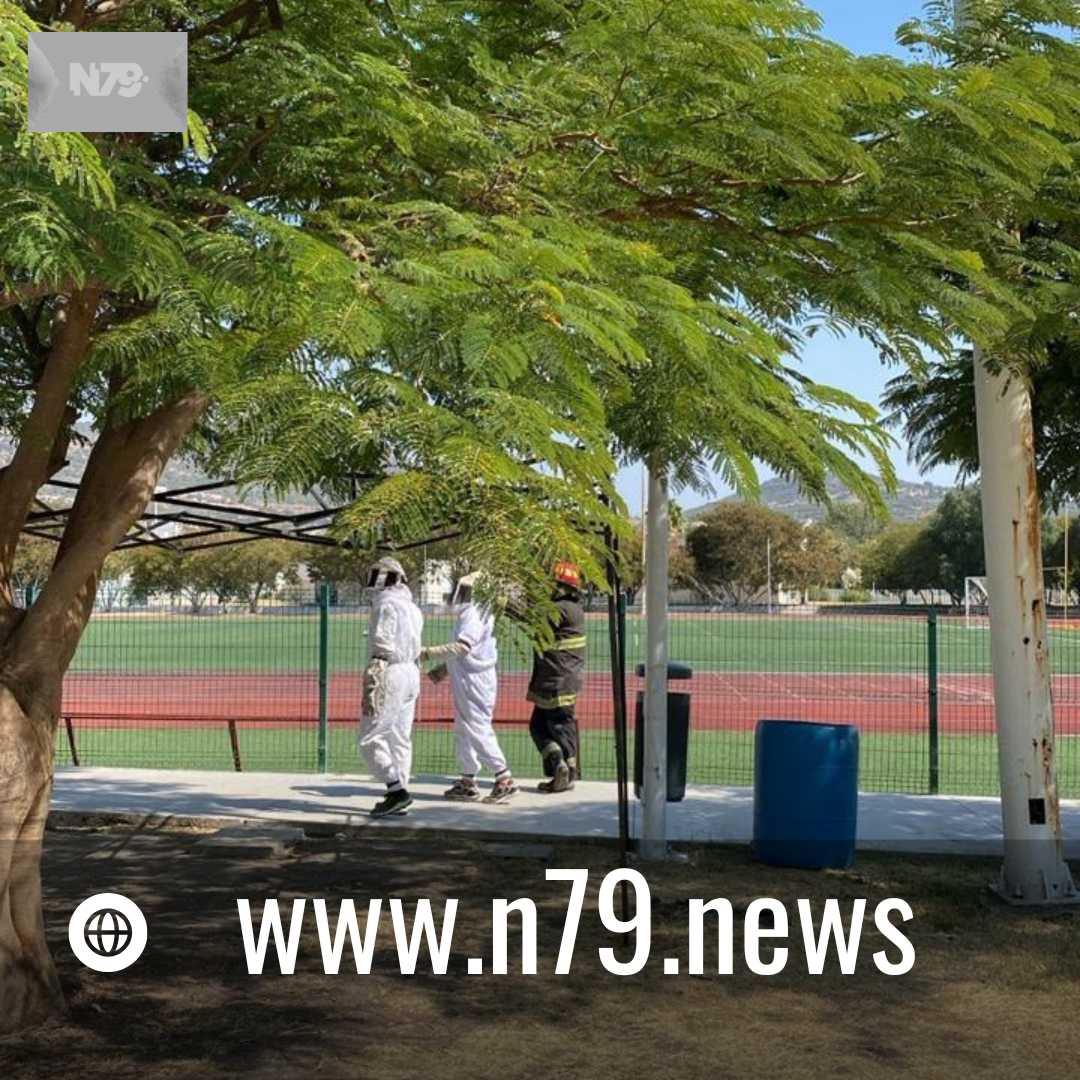Municipio de Querétaro atendió incidente con abejas en el Parque Bicentenario