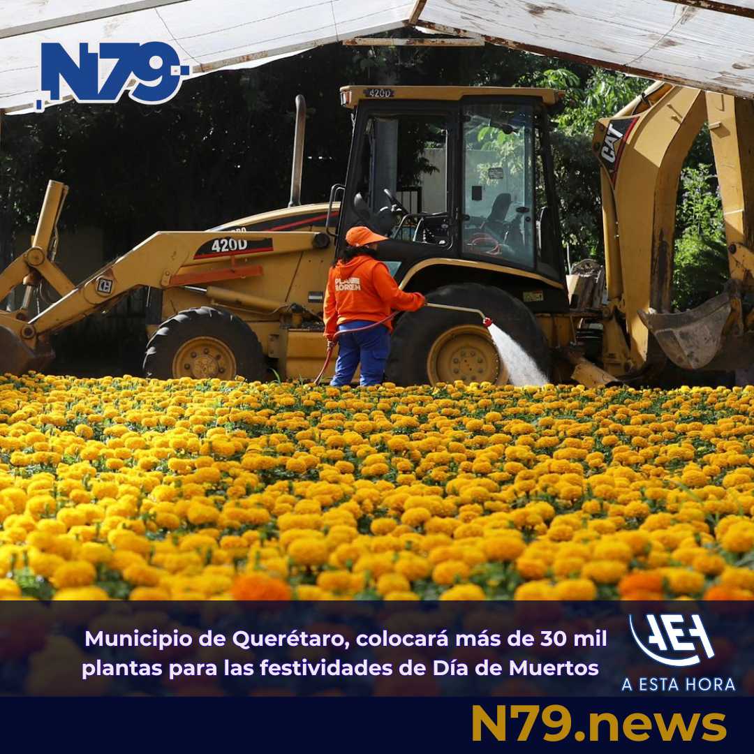Municipio de Querétaro, colocará más de 30 mil plantas para las festividades de Día de Muertos